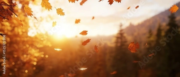 Fototapeta Beautiful landscape of a forest during autumn. the sun is shining through the trees, creating a warm glow that illuminates the scene.