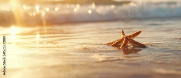 Fototapeta Close-up of a starfish on the beach at sunset. the starfish is in the center of the image, with its five arms stretched out in front of it.