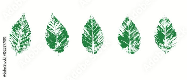 Obraz Natural leaves imprint, grunge style, vector, isolated, decorative elements for design	
