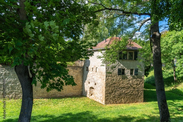 Obraz A tranquil, sun-drenched historic wall with a tower, surrounded by green trees and grass.