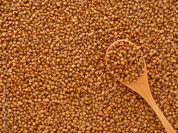 Obraz Raw buckwheat background and wooden spoon with cereal on top. Texture brown grains pattern. Healthy food. Top view overhead.