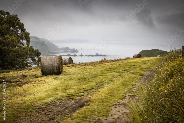 Obraz wet hay stack bale for livestock in green beautiful landscape