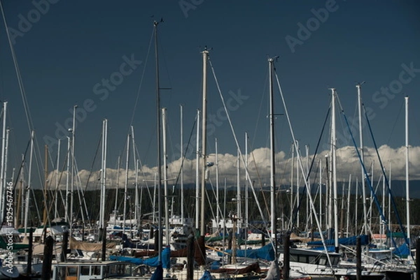 Obraz Forest of masts and poles in Boat Haven  moorage