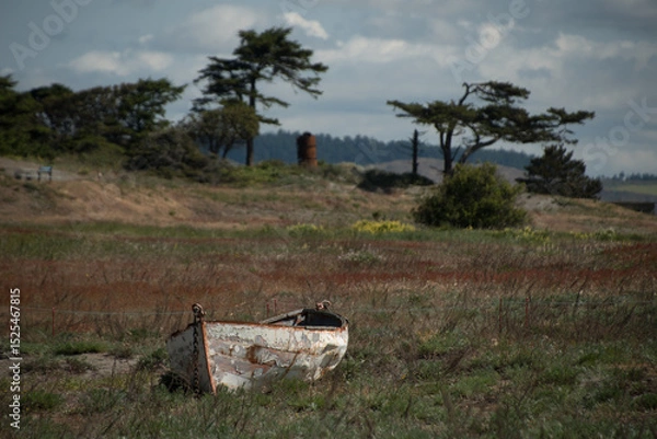Obraz Abandoned wooden boat in grass near Point Wilson lighthouse
