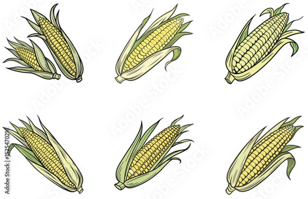 Obraz Corn Cobs Vector Design Simple and Clean Corn Illustration for Agriculture, Food, and Harvest-Themed Projects
