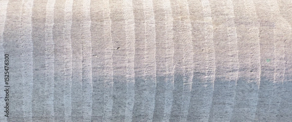 Obraz Close up of palm tree trunk with striped, gray bark texture. Organic, rough surface showcasing