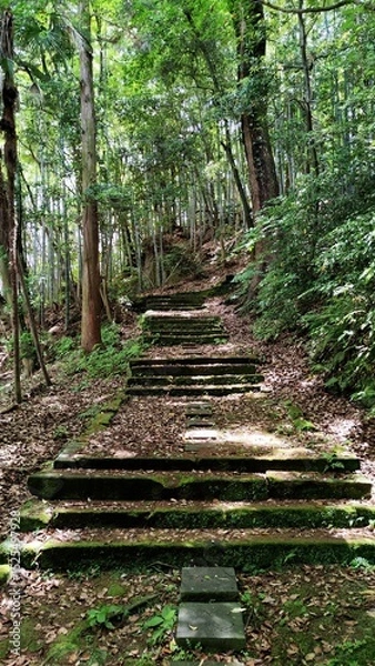 Fototapeta Old stone stairs goes through the forest