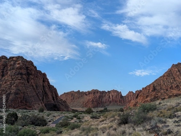 Obraz red rock canyon in the desert 