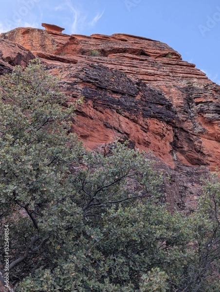 Obraz Red rock canyon and trees