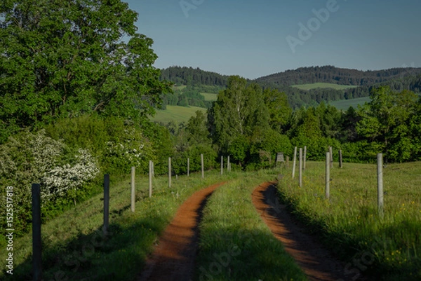 Fototapeta Summer hot morning with green meadows and forests in Sumava mountains