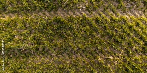 Fototapeta top view of gravel road surface and grass shoulder