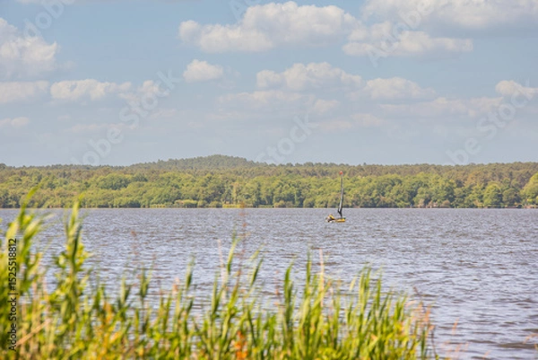 Obraz Landscape of the famous Soustons Lake beach in the southwest of France.
