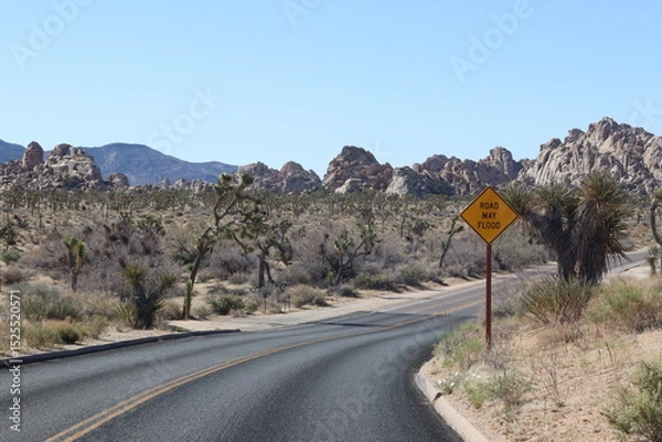 Obraz Joshua Tree NP road