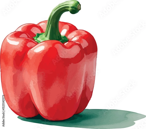 Obraz Red bell pepper vector. Watercolor vegetable with bold color and clean isolated design.