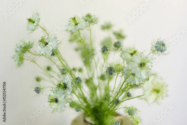 Fototapeta a bouquet of daisies in a glass vase stands on a table on a white background, depth of field, side effect, defocus, macrophotography, bokeh
