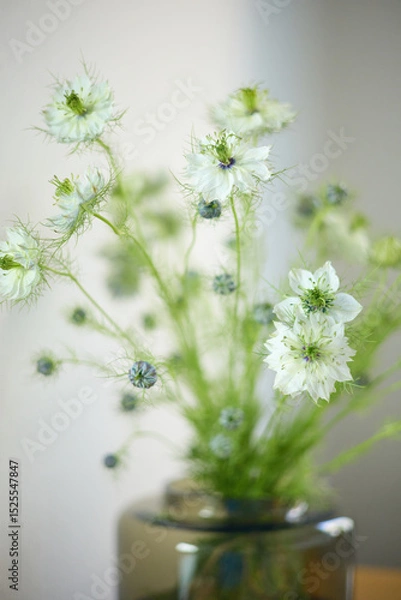 Fototapeta a bouquet of daisies in a glass vase stands on a table on a white background, depth of field, side effect, defocus, macrophotography, bokeh