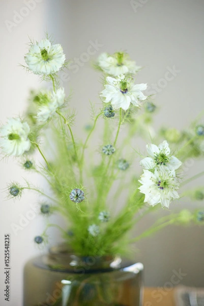 Fototapeta a bouquet of daisies in a glass vase stands on a table on a white background, depth of field, side effect, defocus, macrophotography, bokeh