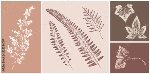 Fototapeta Set of hand drawn flower ivy leaf botanical prints on various color swatches. Plant and flower art for card design or invitation.