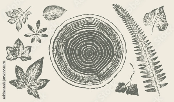 Fototapeta Trendy tree rings ivy vines and leaves for logo or decorations. Hand drawn line elegant leaves for invitation card. Botanical rustic trendy vector art. 