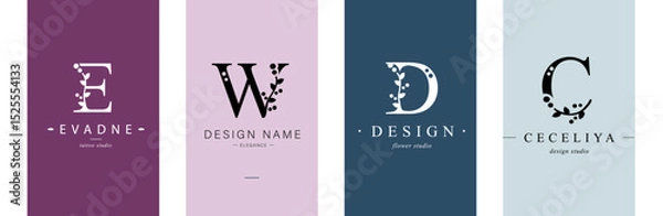 Obraz Logo E, W, capital letter D, C. Monogram of Botanical Minimalistic, Initial. with Organic Plant Elements. Vector design. 