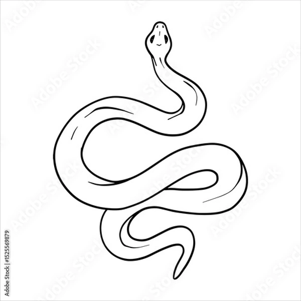 Obraz Black and white line drawing of snake. Vector illustration of a snake Pen and Ink Drawing. Sketch animal illustration. Minimal black and white line art design. Hand Drawn outline of snake. EPS10