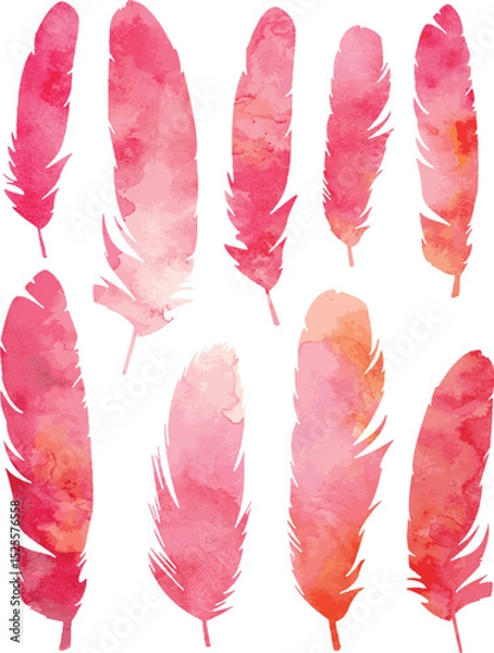 Fototapeta Watercolor pink vector feathers
