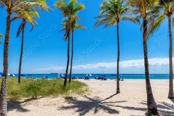 Fototapeta Sunny tropical palm beach with palm trees, beach umbrellas and tropical sea in Miami Beach, Florida