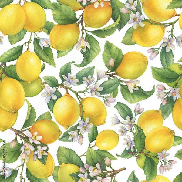 Fototapeta Seamless pattern, wallpaper with fresh citrus yellow lemons fruit. Lemon tree branch with green leaves and flower. Watercolor hand-drawn illustration on white background	