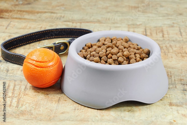 Fototapeta Pet care essentials on a wooden surface Gray dog bowl filled with dry kibble, an orange ball toy, and a black leather collar Dog food, pet supplies, animal care