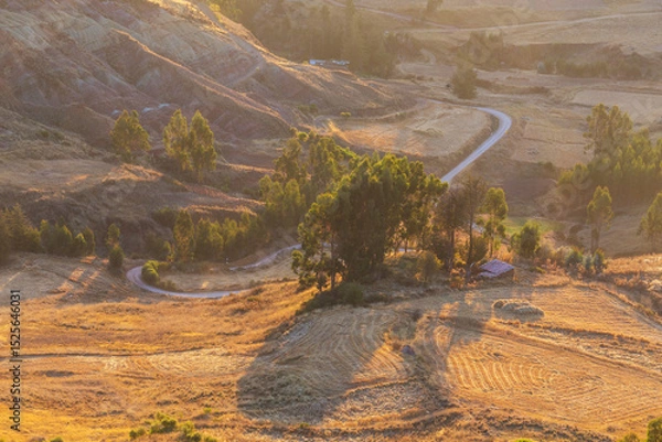 Fototapeta Fields in Peru