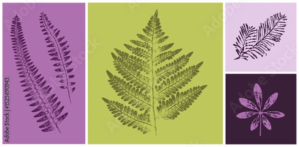 Fototapeta Set of hand drawn fern leaf botanical prints on various color swatches. Plant and flower art for card design or invitation.