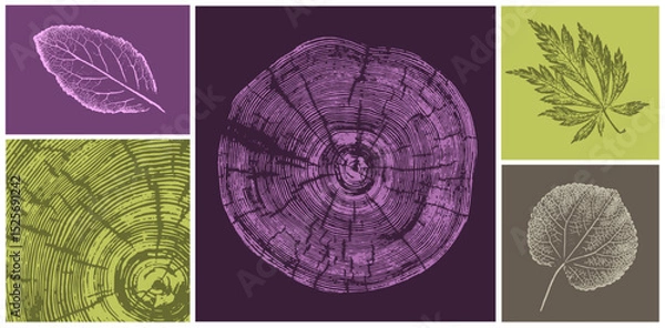 Fototapeta Deep plum tree rings and leaves printed for logo or decorations. Hand drawn line elegant leaves for invitation card. Botanical rustic trendy vector art. 