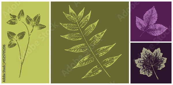 Fototapeta Set of hand drawn fern leaf botanical prints on various color swatches. Plant and flower art for card design or invitation.