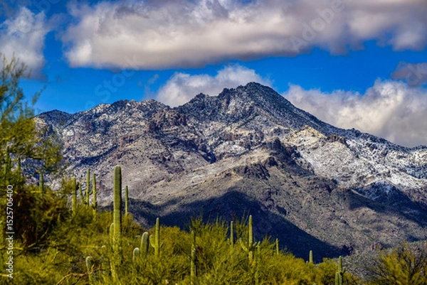 Fototapeta 2023-12-31 SNOW COVERED SANTA CATALINA MOUNTAINS  WITH CACTUS IN THE FOREGROUND AND A NICE CLOUDY SKY OUTSIDE OF TUCSON ARIZONA