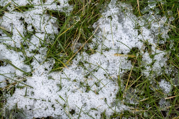 Fototapeta A snowy field with grass and snow