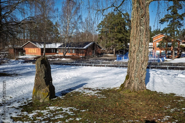 Obraz Linneskolan school buildings, large trees, and ancient runestone on a snowy winter day in Haessleholm, Sweden