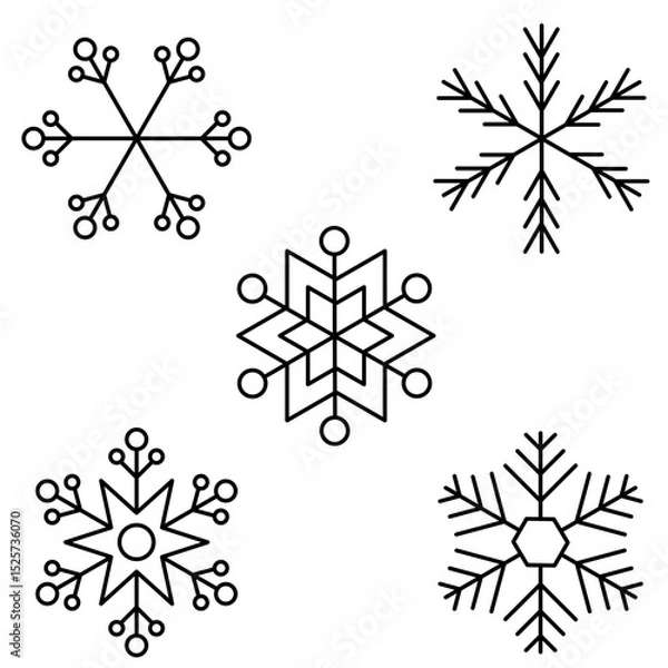 Obraz snowflake’s winter season 