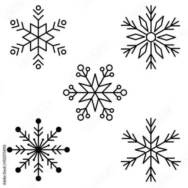 Obraz set of vector snowflakes