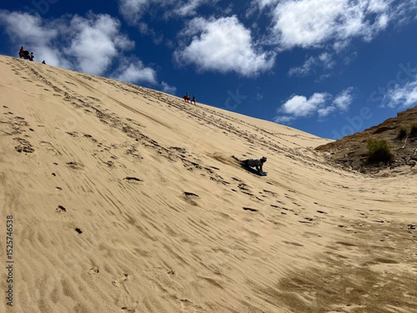 Fototapeta Tourists sand boarding down large sand dunes in Northland New Zealand. Giant Sand Dunes, are a collection of sand dunes located on the Northland Peninsula of New Zealand.