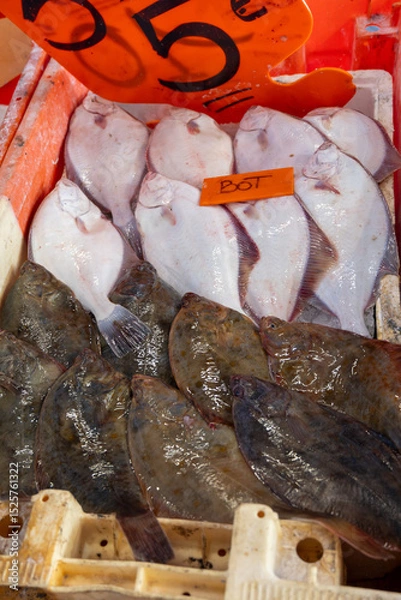 Obraz Catch of the day on fist market in Oostende, North Sea, Belgium, fresh turbot, bot, plaice flat fishes close up