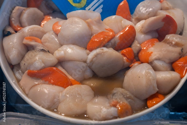 Obraz Atlantic bay scallops coquille St. James sea shells, in shells and cleaned, catch of the day on fist market in Oostende, North Sea, Belgium,  close up