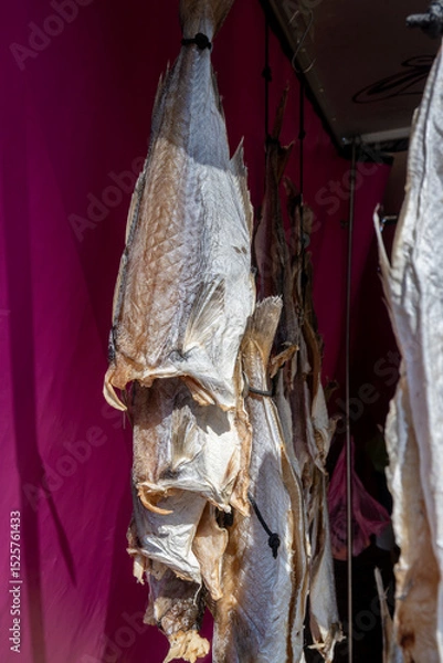 Obraz Dtied on air or salted stock fish on sea promenade in Oostende, Belgium