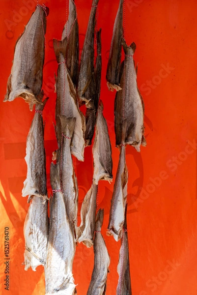 Obraz Dtied on air or salted stock fish on sea promenade in Oostende, Belgium