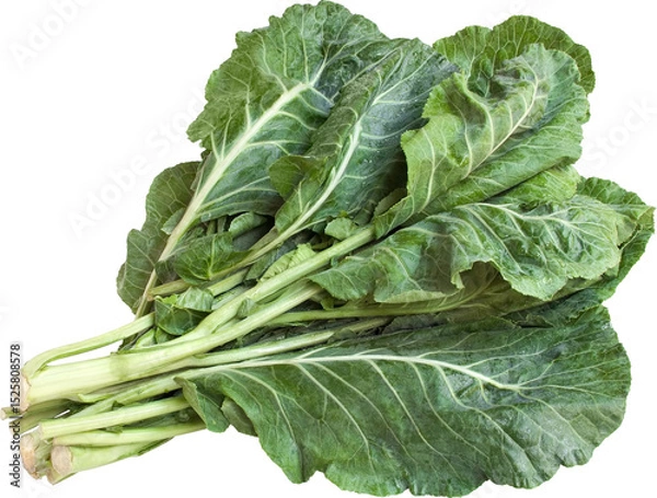 Obraz Collard Without Background