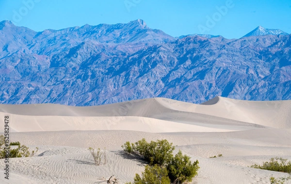 Obraz Mesquite Flat Sand Dunes with mountain range and cloudless sky on background. Death Valley National Park California