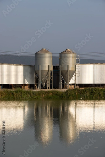 Fototapeta Poultry Farming Grain Silo Feed Tower for Chicken Automatic Feeding System