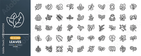 Obraz Leaves and leaf vector line icon set. Contains linear outline icons like Plant, Nature, Environment, Ecology, Palm, Maple, Tropical, Flora. Editable use and stroke.