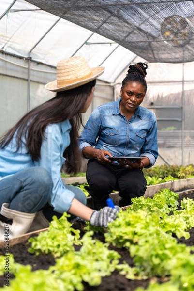 Obraz Children learn how to grow and care for vegetables in a greenhouse, with teachers teaching them closely.