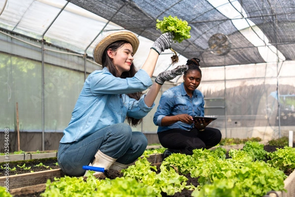 Obraz Children learn how to grow and care for vegetables in a greenhouse, with teachers teaching them closely.