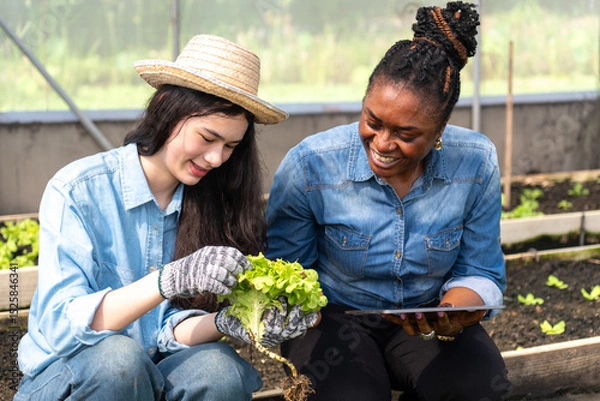 Obraz Children learn how to grow and care for vegetables in a greenhouse, with teachers teaching them closely.
